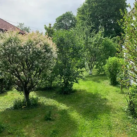 Mira * サラエヴォ