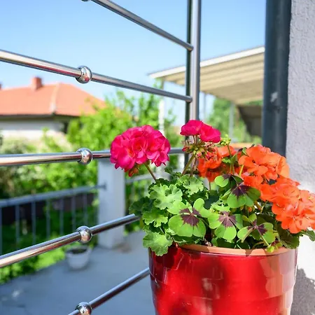 Appartement Mira *