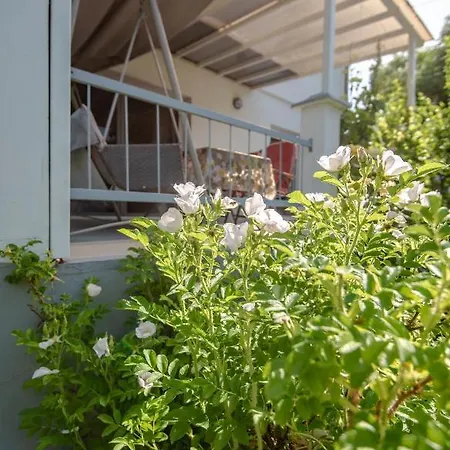 Apartament Mira Comfortable & Free Parking