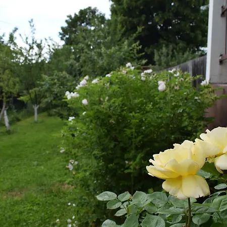 Apartment Mira Apartment Sarajevo Comfortable Stay & Free Parking